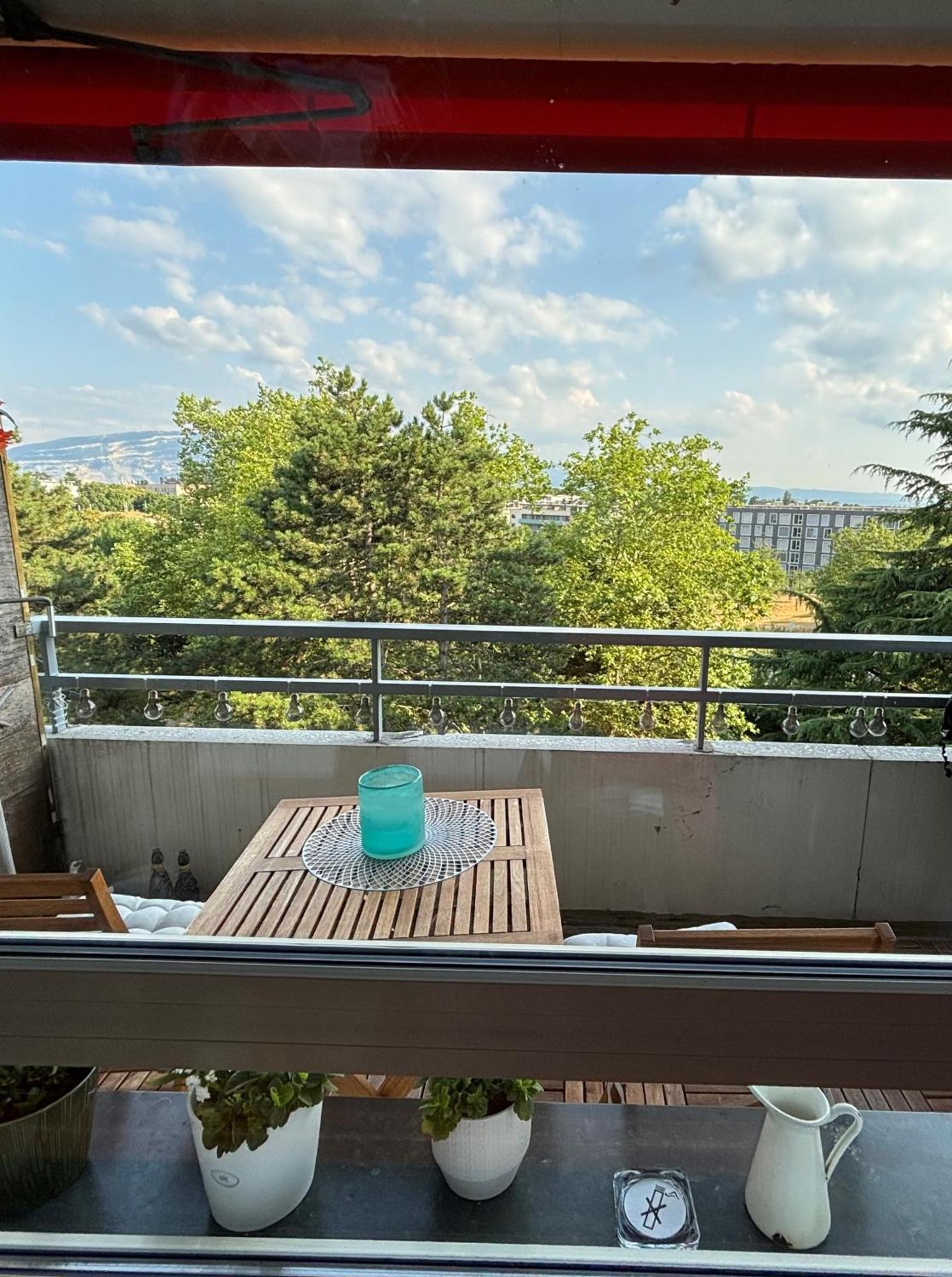 Cozy With View Of Mt Jura Geneva