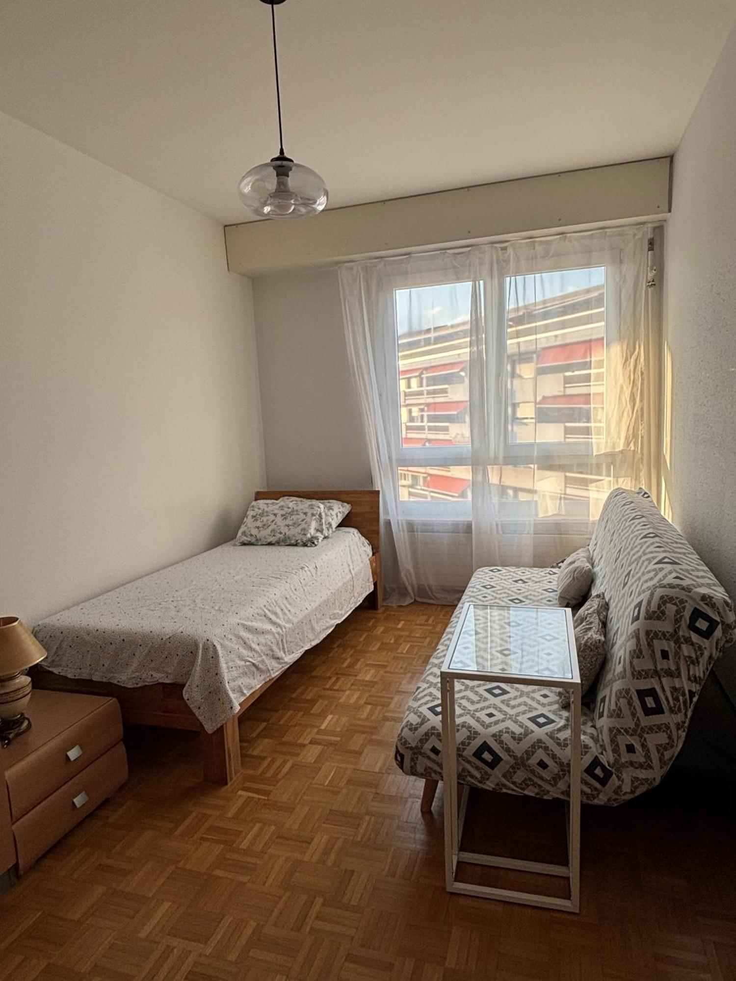 Cozy With View Of Mt Jura * Geneva